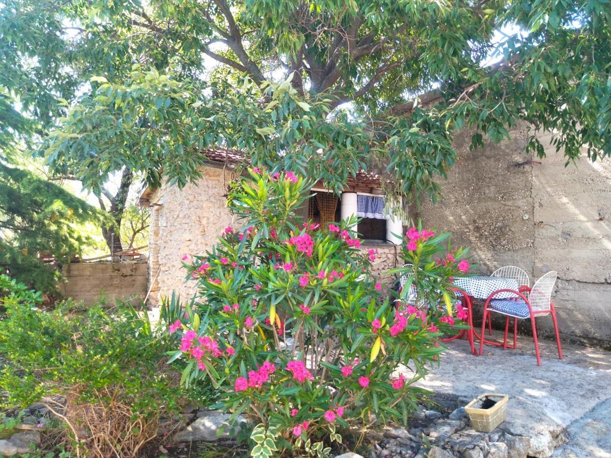 Apartment Tuja Jadrtovac Luaran gambar