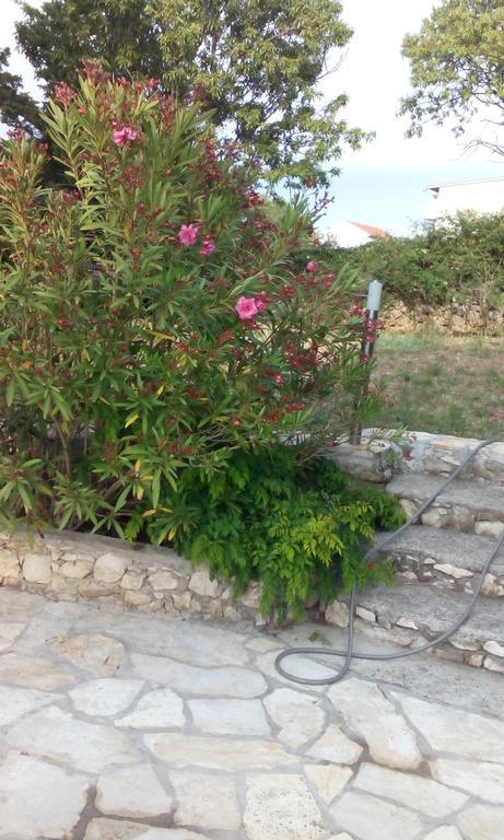Apartment Tuja Jadrtovac Bilik gambar